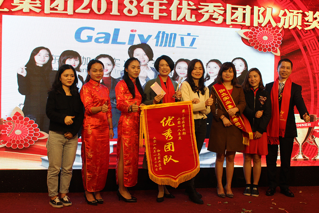 伽立優(yōu)秀團(tuán)隊 伽立優(yōu)秀團(tuán)隊